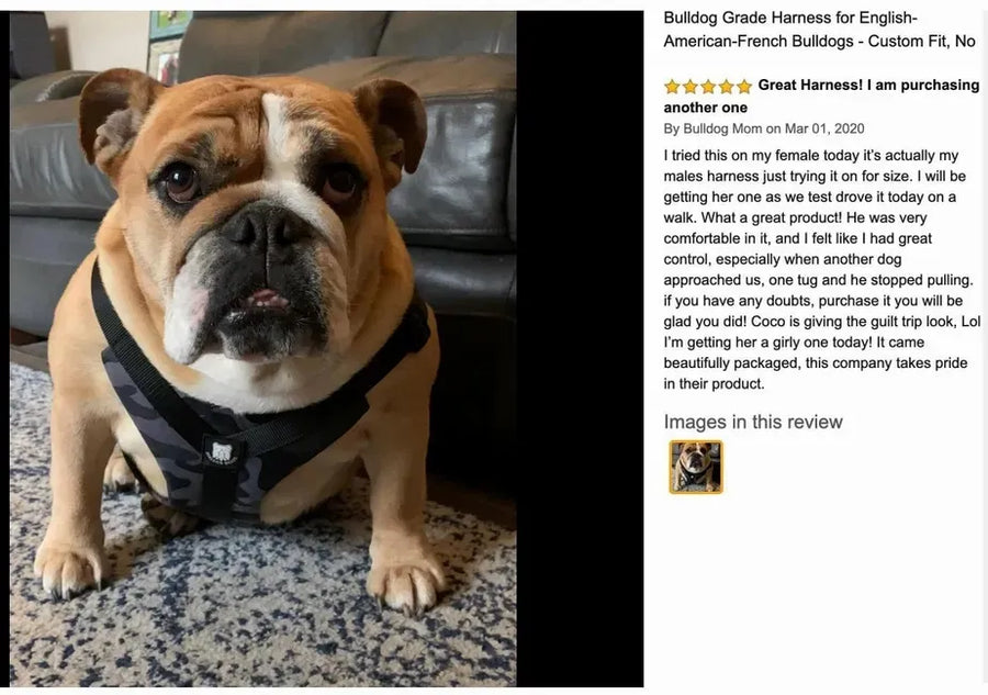 Great Harness! I am purchasing another one