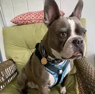 I'm very excited about the harness