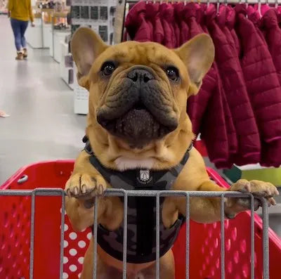 I wouldn’t buy another brand!