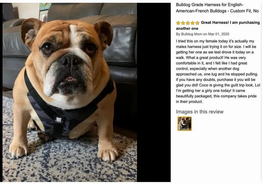Great Harness! I am purchasing another one