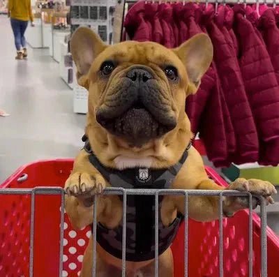 I wouldn’t buy another brand!