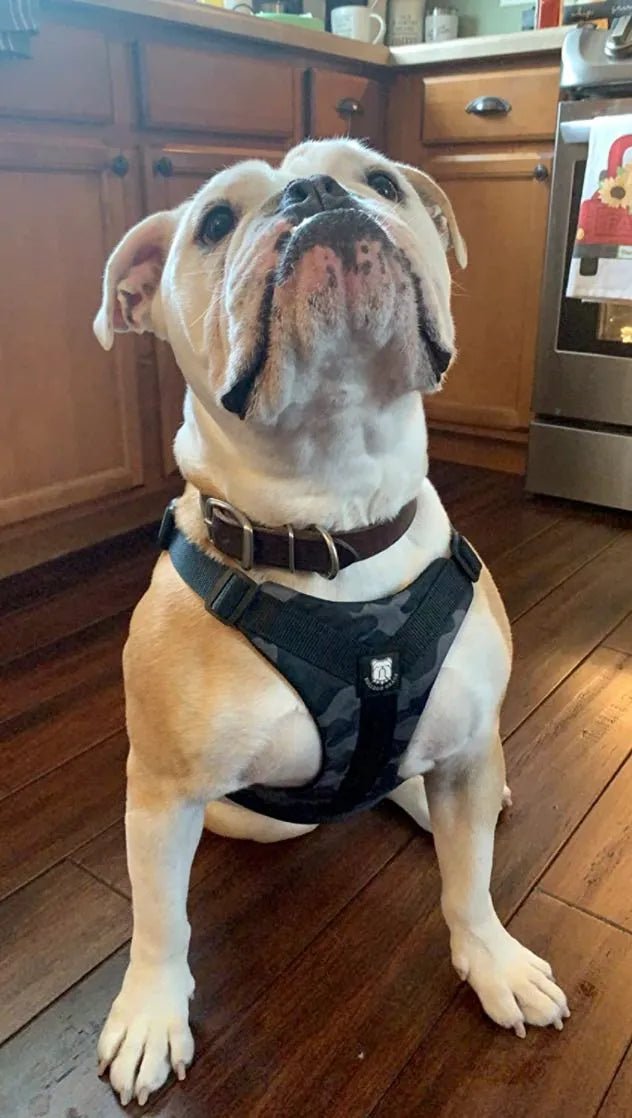 ★★★★★Perfect