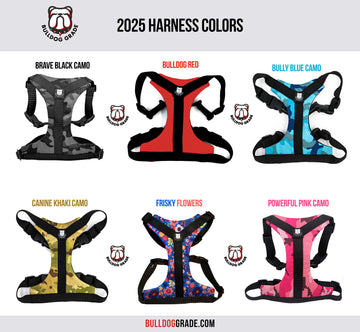 Bulldog Grade Bulldog Harness 2.0