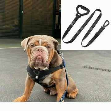 Bulldog Grade Harness + Leash Combo