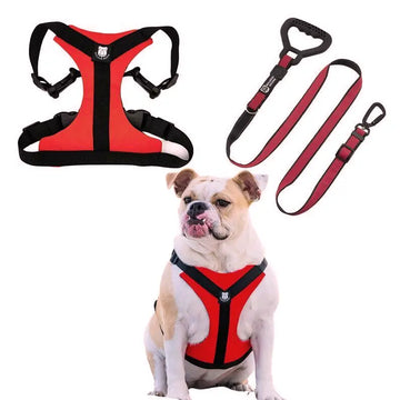 Bulldog Grade Harness + Leash Combo