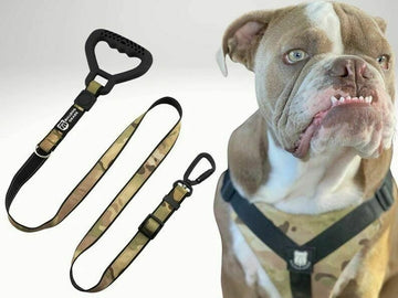 Bulldog Grade Harness + Leash Combo
