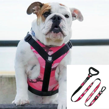 Bulldog Grade Harness + Leash Combo