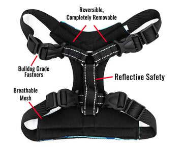 Best Bulldog Harness 2.0 – Bulldog Grade® - Bulldog Grade