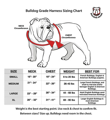 Best Bulldog Harness 2.0 – Bulldog Grade® - Bulldog Grade