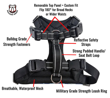 Best Bulldog Harness 2.0 – Bulldog Grade® - Bulldog Grade