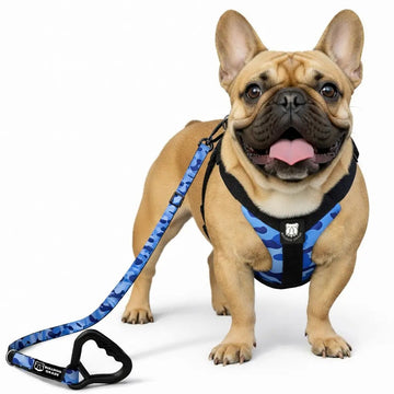 Bulldog Grade Harness + Leash Combo - Bulldog Grade