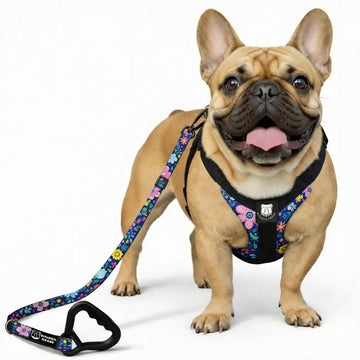 Bulldog Grade Harness + Leash Combo - Bulldog Grade
