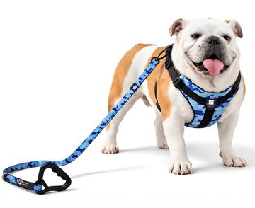 Bulldog Grade Harness + Leash Combo - Bulldog Grade